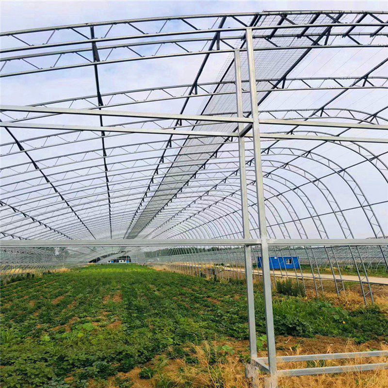 隆陽大棚骨架
