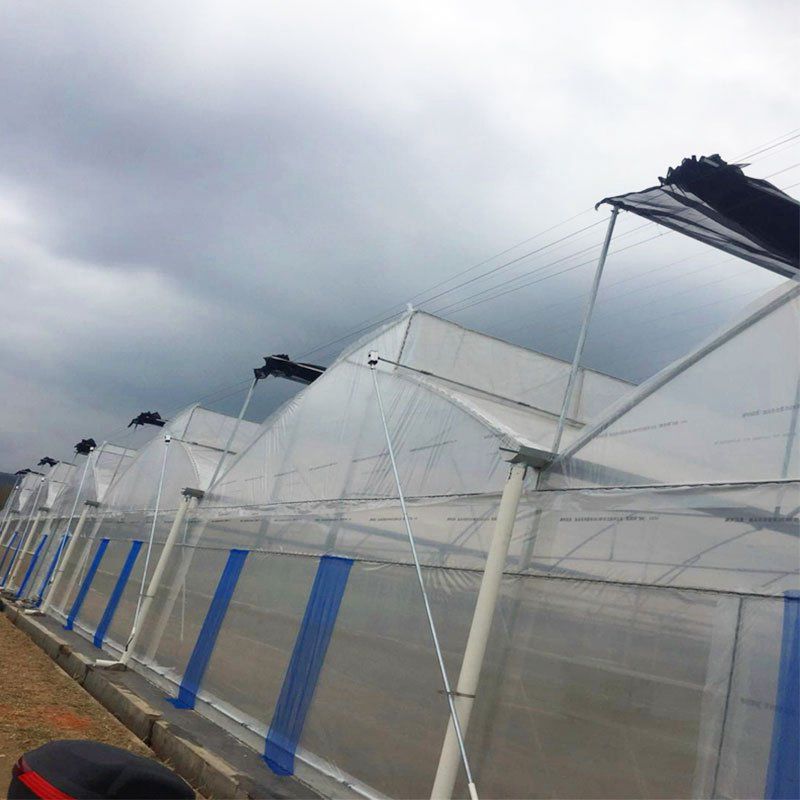 隆陽外遮陽連棟大棚