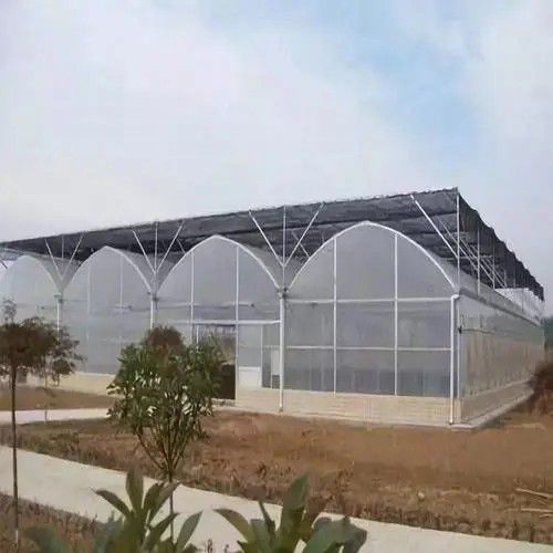 隆陽連棟溫室大棚