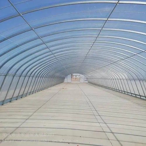 隆陽橢圓管大棚