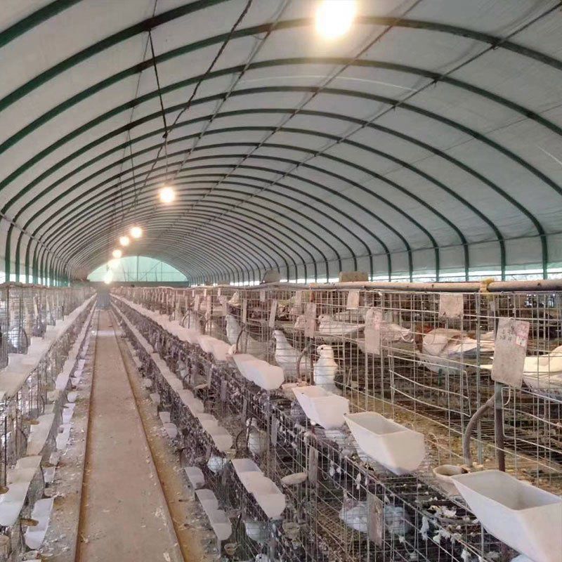 隆陽養(yǎng)殖大棚